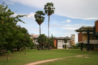 Royal Academy 6 (Tim Doling) Royal Academy 6 (Tim Doling)