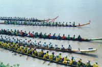 LNTA images 117 LNTA images 117