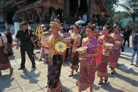 LNTA images 115 LNTA images 115