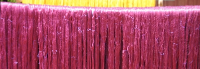 CNS 15 CNS 15