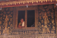 LNTA images 61 LNTA images 61